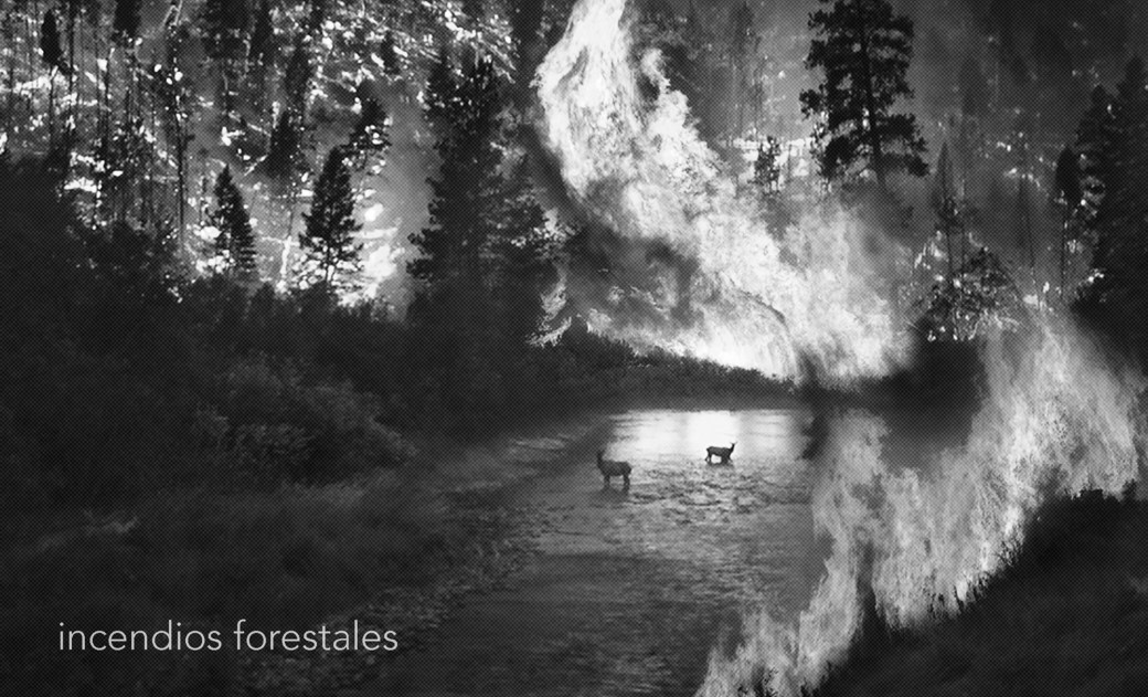 2incendiosForestales.jpg
